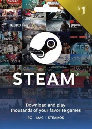 STEAM 1 USD